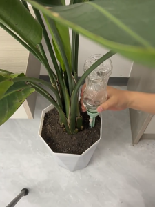 Self Watering Device Plant Automatic Watering Device Home Flower Automatic Drip Spike flowerpot Water Irrigation System