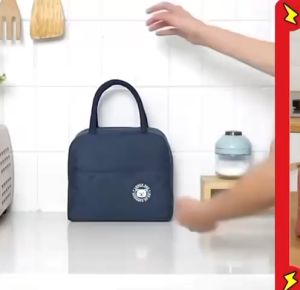 Tas Bekal Lunch Bag Cooler Makanan Anak Tas Lunch Box Karakter Brivilas Lucu Anti Panas Dingin Tas Makanan Sekolah Bahan 2 Lapis