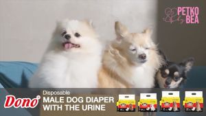 Dono Disposable Male Diaper | Small 12 pcs | Medium 10 pcs | Large 8 pcs