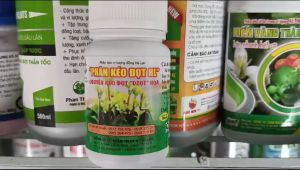 SIÊU KÉO ĐỌT HL Hà Lan Đậm đặc chuyên kéo đọt -  dzot hoa chai 100ml pha  800 lít nước Phân bón cho cây ăn trái rau màu