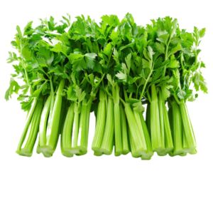 Celery Seeds Tall Utah
