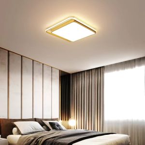Nordic luxury LED Ceiling Light Tricolor dimming/Remote Control Living Room/Bedroom/restaurant Ceiling Lamp For Home