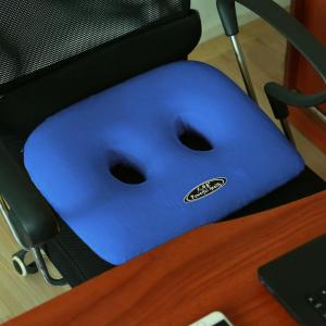 MOLORE | Thickened Memory Foam Sponge Heightening Cushion