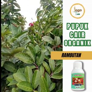 Pupuk Organik Cair Rambutan 100 Ml Agar Tumbuh Subur Dan Berbuah Lebat By Jagotani Yogyakarta