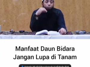 MINYAK BIDARA RUQYAH 90 ML ASLI