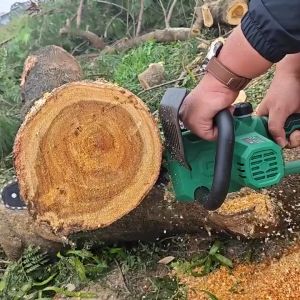 Cưa Xích Workfix 12 Inch 15cell Không Chổi Than Cưa Cây Cắt Cành Tra Dầu Tự Động