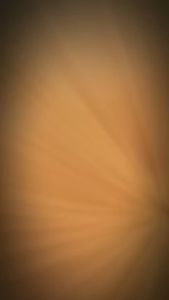 500g Muối tôm nhuyễn đặc sản Tây Ninh  / ăn vặt