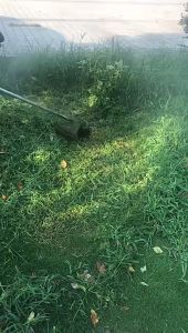 Strimmer Bump Spool 2 Lines Lawn Mower Trimmer Head PP Universal M10*1.25 Grass Trimmer Head