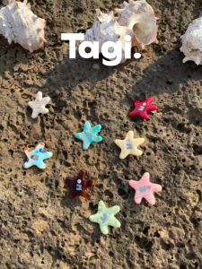 Tagi. Star Hairclip Hair Accessories