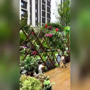 Fence Outdoor Retractable Enclosure Yard Garden Trellis DecorationPreservative-treated Woodguardrail