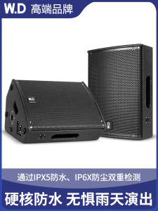 W.D Long Tai Chi 12 Inch Outdoor Waterproof Speaker HiFi Wooden Enclosure for Stage Performances And Open Air Events