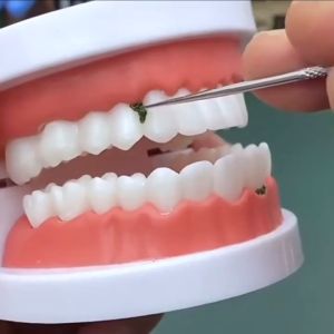 7 Pcs Toothpick Set & Portable Oral Care Kit: A Comprehensive Guide