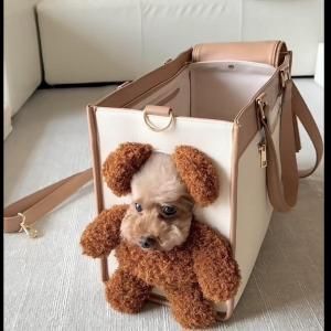 HUAYASEN | Cute Big Capacity Pet Carrier Bag with Head Exposure Function Small Bear Furry Cat Design For Small Dogs