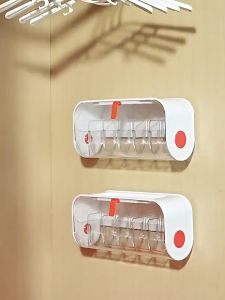 Wall Mounted Storage Box Transparent With Cover Wardrobe Organizers Compartment Bra Underwear Panties Socks 内衣内裤袜子 收納盒