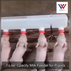 Milk Dispenser w/ 6 Pacifiers for Piglets feeding bottle nursing device 6 pacifier Pig sheep bottle Piglet and lamb