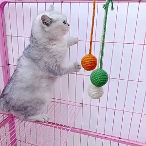 Cute Q Hanging cage cat toys cat ball  pet ball mainan kucing cat rope Selected Knit Ball Cat Teaser猫玩具 貓咪 玩具