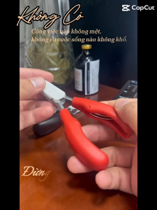 Kìm cắt nanh heo con theo mẹ