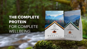 Wellbeing Nutrition Organic Vegan Plant Protein Isolate | 22g Protein 5g BCAA 3B CFU Probiotics Enzymes 3g Fiber 5 Alkalizing Greens | NO Bloating Easy to Digest| Belgian Dark Chocolate 500gm