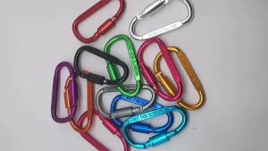 1Pcs Premium Aluminum D-Ring Locking Carabiners - Lightweight & Durable for Hiking Camping Keychains More - NOT for Climbing