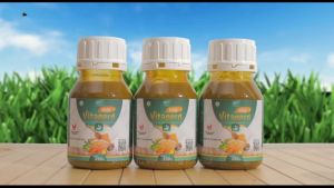 Madu Vitagerd Asli: Solusi Efektif untuk Mengatasi Asam Lambung GERD & Tukak Lambung