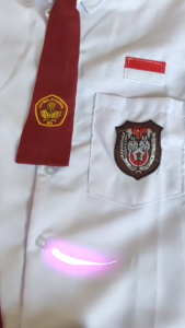 Setelan Seragam Merah Putih SD Panjang Anak Perempuan Kelas 1-6 SD Komplit Free Jilbab Putih & Topi Seragam SD