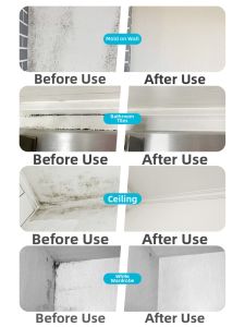 Mold Removal Spray for Walls