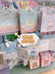 (Túi Dây) Túi giấy đựng quà tặng mỹ phẩm có dây nhiều mẫu mã kích cỡ