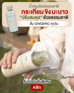 GINGERLIC เครื่องดื่มสมุนไพรสกัดเย็น กระเทียม ขิง มะนาว น้ำแอปเปิ้ลไซเดอร์ เครื่องดุ Esper สุขภาพและธรรมชาติปลอดภัย สูงสำหรับการฟื้นตัว