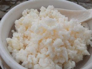 nấm sữa chua kefir ( 10gr nấm)
