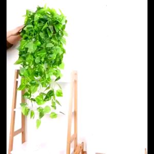 Giỏ Dây Leo Treo Tường Nhiều Mẫu Độc Đáo Đã Cắm Sẵn Dài 90cm Tặng Móc 3D DG-368