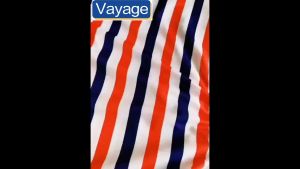 Pro Barber Cape Hair Cut Gown Apron Salon Stripe Shawl Waterproof Hairdressing Cloth Adult 145*160