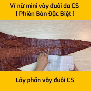 [PHIÊN BẢN ĐẶC BIỆT ĐỰNG SIÊU NHIỀU ĐỒ] Ví nữ mini cầm tay