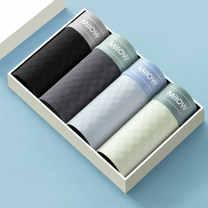 MiiOW | Development-friendly Ice Silk Lightweight Briefs for Boys