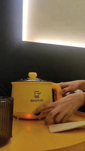 Small Electric Mini Multi Cooker Hot Pot Steamer Personal