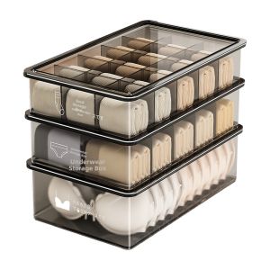 youqin | Multipurpose Organizer Underwear Storage Box