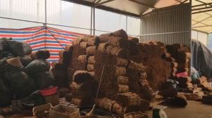 Bột Quế nguyên chất nghiền từ vỏ quế loại 1 (THẬT như ẢNH và VIDEO)