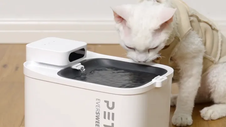 Cordless Pet Water Fountain