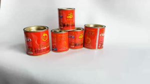 Keo Rồng Vàng P66 (Keo con chó) Keo dán ghế sofa keo dính đa năng-Keo dán giày dép dán diều thảm