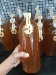 F1 Kombucha vị nguyên bản ( trà móc câu+ đường vàng hữu cơ+lá dứa)