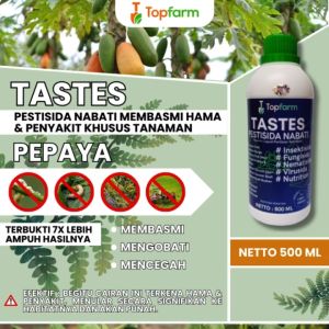 Obat Buah Pepaya: Solusi Optimal untuk Perlindungan Tanaman