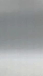 Kraft Cups Holder: A Comprehensive Guide