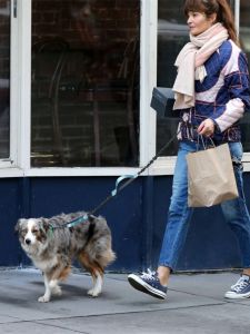 Outdoor Running Dog Leash Retractable Belt Hands-Free Dog Walking Rope Nylon Material Extendable Traction Rope for Dogs