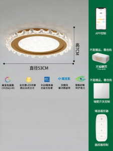 Aiskdan | Elegant Creative Full Spectrum Eye-protecting Ceiling Light