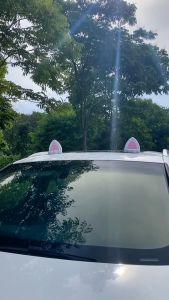 Tai Mèo Tai Thỏ Trang Trí Nóc Xe Ô Tô Phụ Kiện Trang Trí Xe Hơi Tai Thỏ Mèo Gắn Nóc Xe