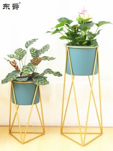 DONGJUE | Scandinavian Style Popular Floor Flower Rack