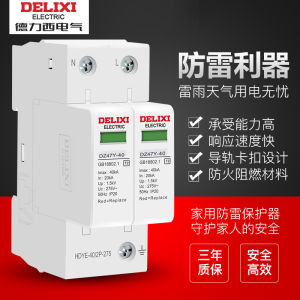 Delixi DZ47Y Surge Protector 220V 2P Power Surge Arrester 3P Lightning Arrester 4P Power Lightning Switch Electrical Control Low Voltage