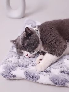 Alas Tidur Kucing Pet Sleeping Bed & Blanket Soft Comfort Washable Cat Bed Dog Bed Cat Mat Dog Mat Pet Mat Cat Blanket