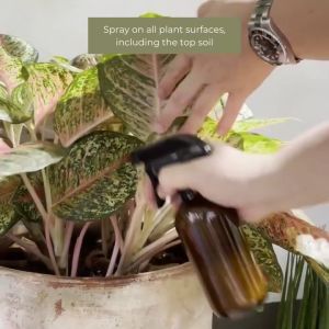 Shopleaf Organic Neem Oil