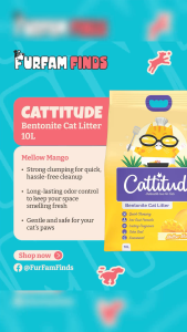 CATTITUDE Cat Litter 10L x2 | Clumping Odor Control Low Dust Bentonite
