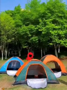 🔥พร้อมส่ง🔥เต็นท์ เต็นท์กางอัตโนมัติ เต็นท์ปิกนิก กันฝน เต๊นท์ตาข่ายป้องกันแมลง 2 ประตู เต็นท์สนาม สำหรับ 1-2 ท่าน 3-4 ท่าน พื้นที่ภายในขนาดใหญ่ ขนาดกระทัดรัด พับเก็บง่าย